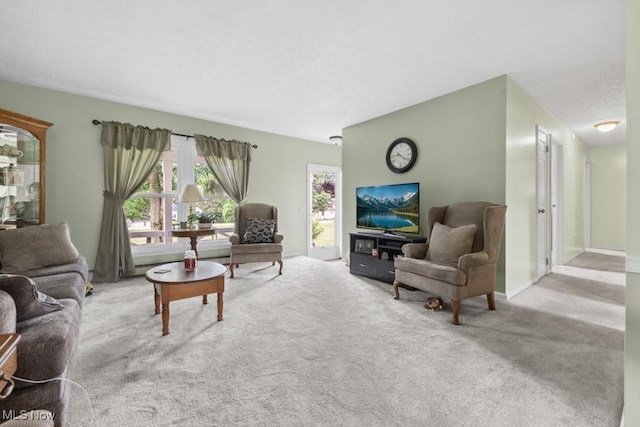 1114 Beechwood Rd, Salem, OH 44460 - living room with carpet floors and healthy amount of natural light