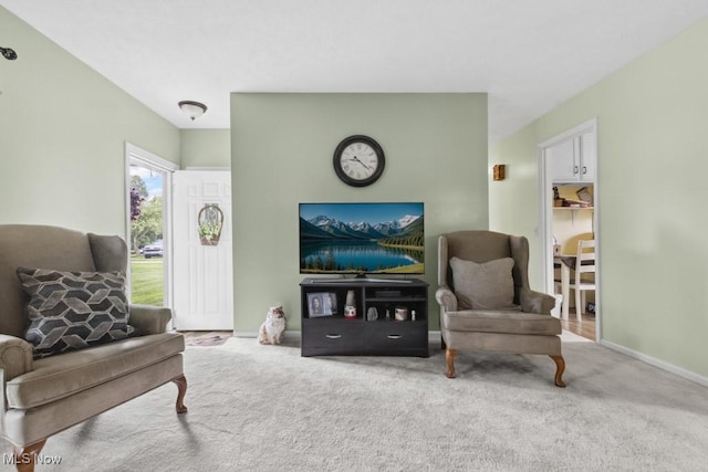 1114 Beechwood Rd, Salem, OH 44460 - view of carpeted living area