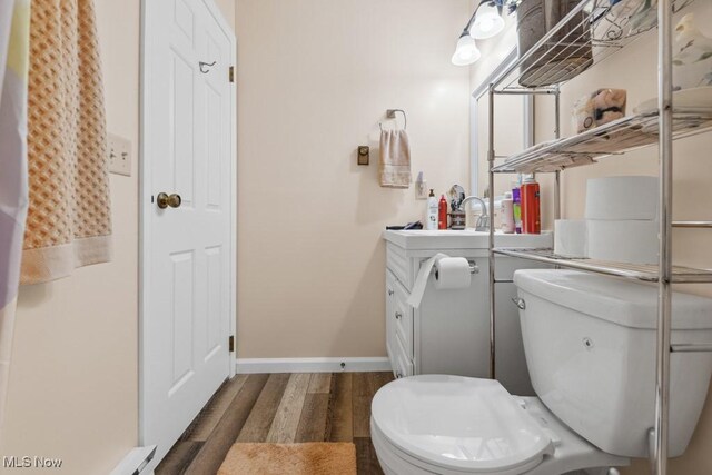 1114 Beechwood Rd, Salem, OH 44460 - bathroom featuring wood finished floors, vanity, and a baseboard radiator