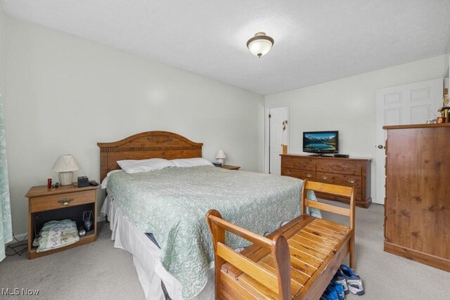 1114 Beechwood Rd, Salem, OH 44460 - view of carpeted bedroom