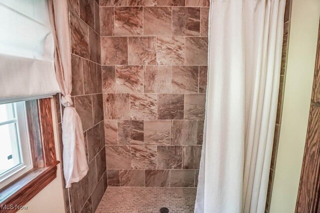 3020 Crookston Ln, Clinton, OH 44216 - bathroom with tiled shower