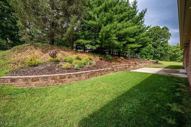 116 Falling Waters Dr, Vienna, WV 26105 - view of grassy yard