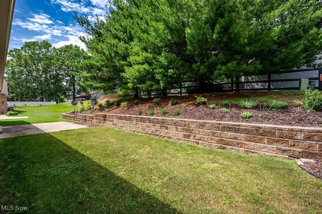 116 Falling Waters Dr, Vienna, WV 26105 - view of yard