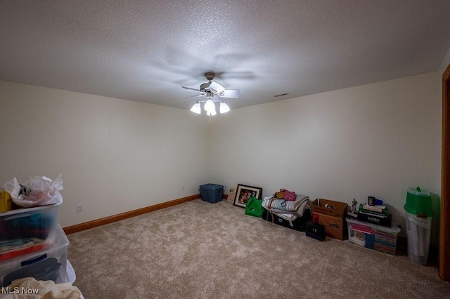 116 Falling Waters Dr, Vienna, WV 26105 - misc room featuring carpet, a ceiling fan, and a textured ceiling