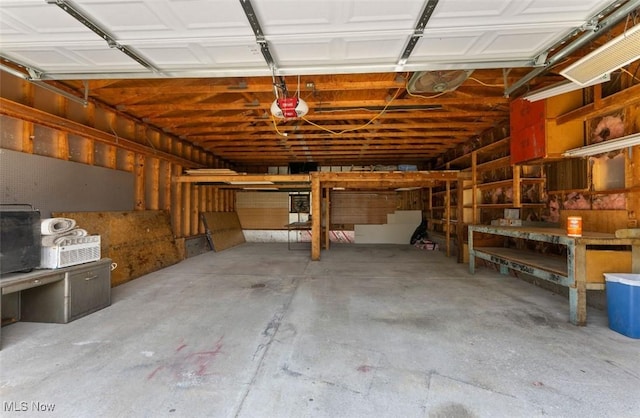 5318 Pinecrest Ave, Youngstown, OH 44515 - garage featuring a garage door opener