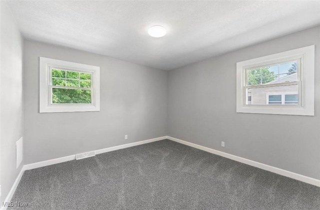 5318 Pinecrest Ave, Youngstown, OH 44515 - unfurnished room featuring healthy amount of natural light and dark colored carpet