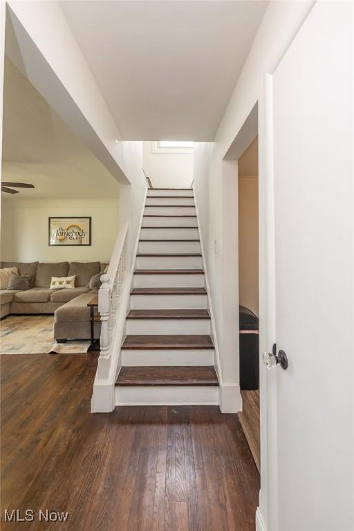 29123 Homewood Dr, Wickliffe, OH 44092 - staircase with wood finished floors
