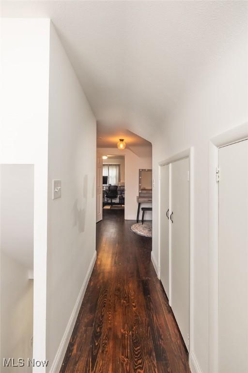29123 Homewood Dr, Wickliffe, OH 44092 - hall featuring dark wood-style floors and baseboards