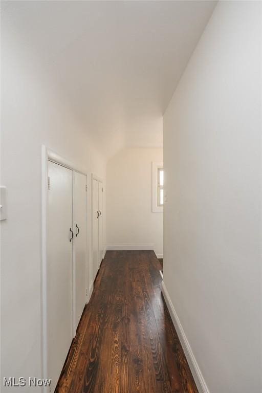 29123 Homewood Dr, Wickliffe, OH 44092 - hallway featuring dark wood-type flooring and lofted ceiling