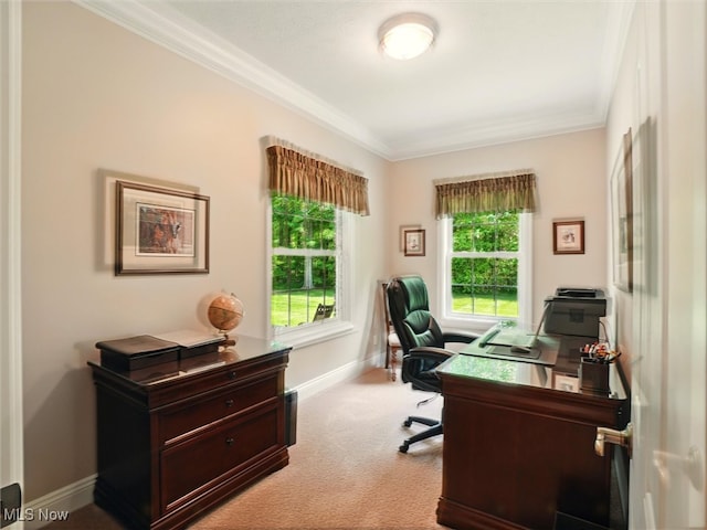 4440 Rutledge Ave, Ashtabula, OH 44004 - carpeted office featuring ornamental molding and healthy amount of natural light