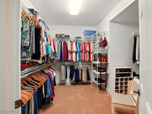 4440 Rutledge Ave, Ashtabula, OH 44004 - spacious closet with carpet floors