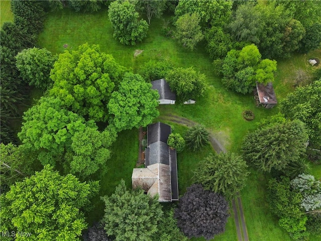 1175 State Route 44, Atwater, OH 44201 - photo 34