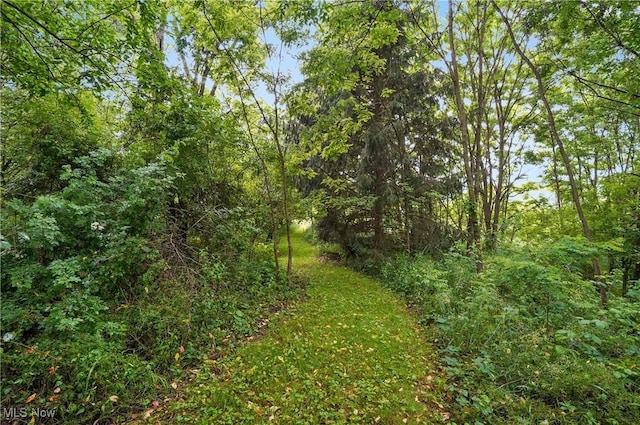 1175 State Route 44, Atwater, OH 44201 - photo 37