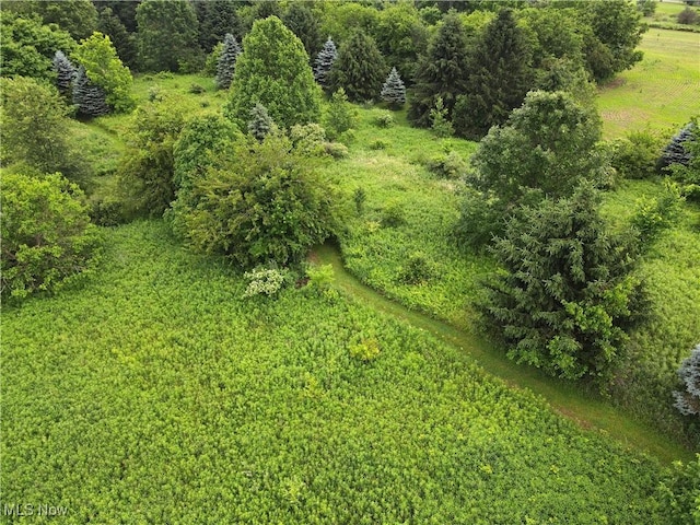 1175 State Route 44, Atwater, OH 44201 - photo 38