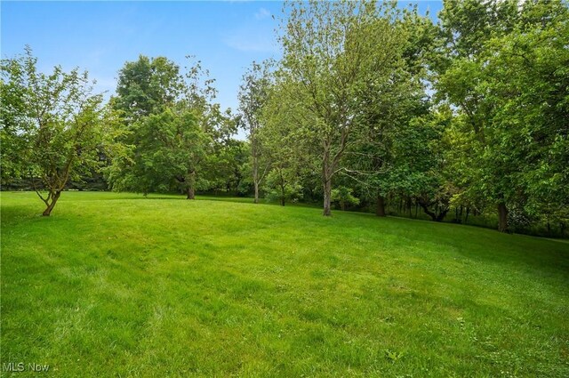 1175 State Route 44, Atwater, OH 44201 - photo 39