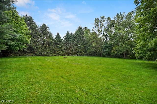 1175 State Route 44, Atwater, OH 44201 - photo 40
