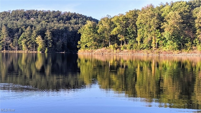 2461 Trailwood Dr SW, Carrollton, OH 44615 - water view with a forest