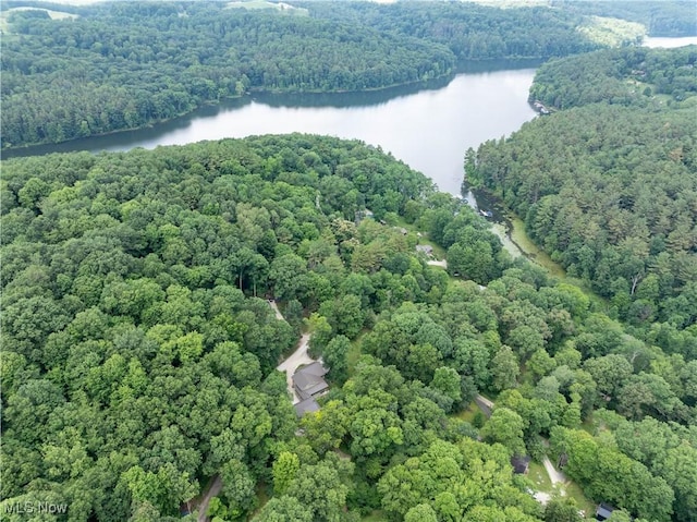 2461 Trailwood Dr SW, Carrollton, OH 44615 - bird's eye view of a forest and a nearby body of water