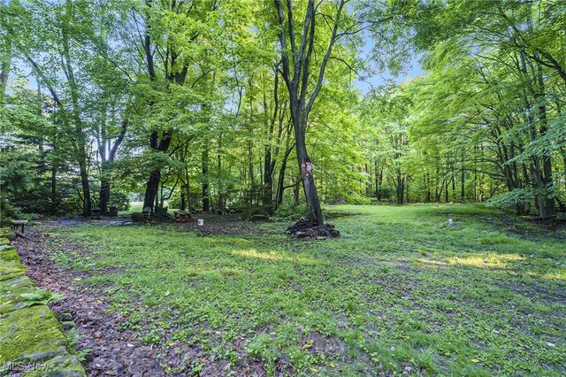 6315 Madison Rd, Thompson, OH 44086 - photo 30