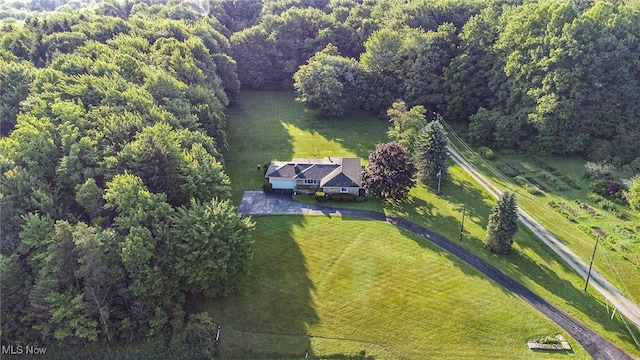 6315 Madison Rd, Thompson, OH 44086 - photo 34