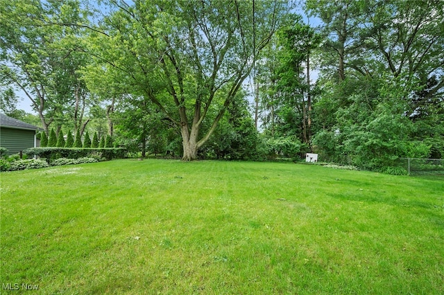 4815 Waldamere Ave, Willoughby, OH 44094 - photo 28