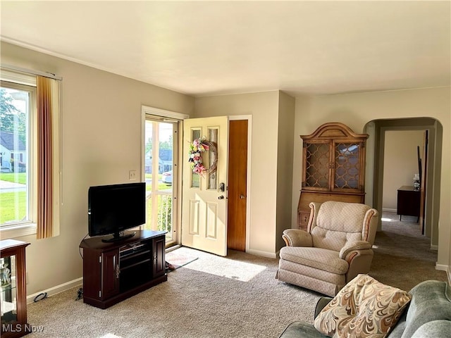 145 Marcia Dr, Austintown, OH 44515 - living area featuring light colored carpet and healthy amount of natural light