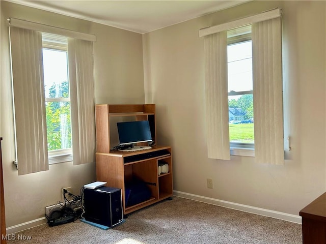 145 Marcia Dr, Austintown, OH 44515 - carpeted office space with baseboards