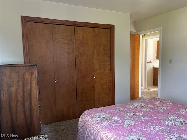 145 Marcia Dr, Austintown, OH 44515 - bedroom with a closet and carpet flooring