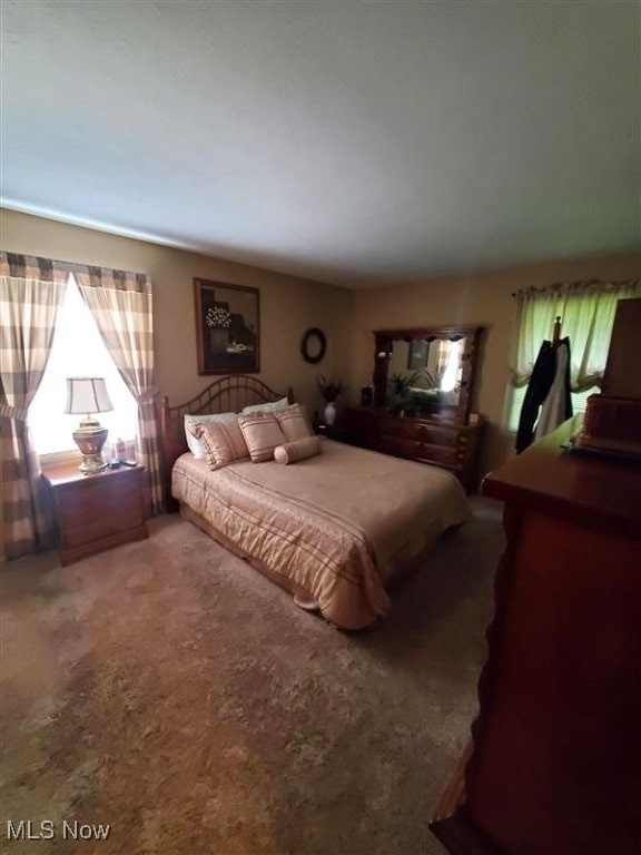 2919 Inwood Dr NW, Massillon, OH 44646 - view of carpeted bedroom