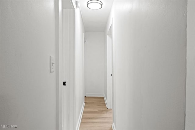 85 Pocantico Ave, Akron, OH 44312 - hall with light wood-type flooring and baseboards