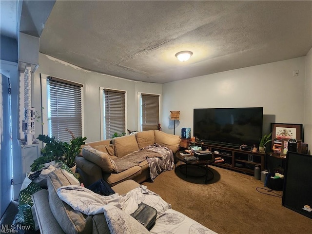 3569 Independence Rd, Cleveland, OH 44105 - living room featuring carpet flooring and a textured ceiling