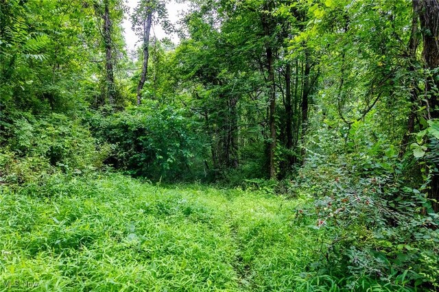 Wilber Bush, Crooksville, OH 43731 - photo 19