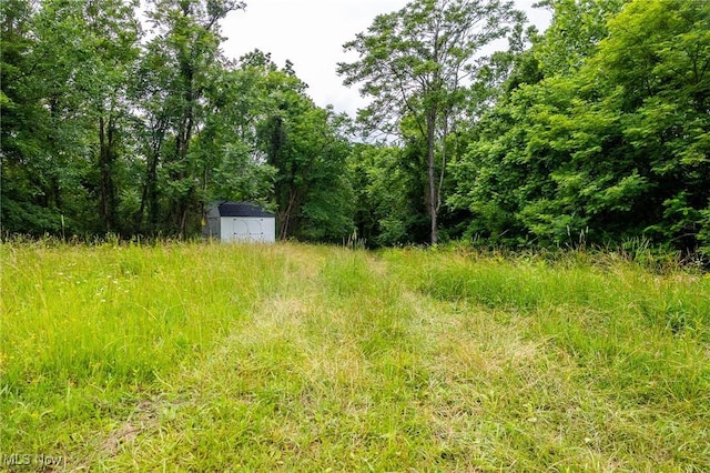 Wilber Bush, Crooksville, OH 43731 - photo 2