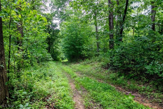Wilber Bush, Crooksville, OH 43731 - photo 5