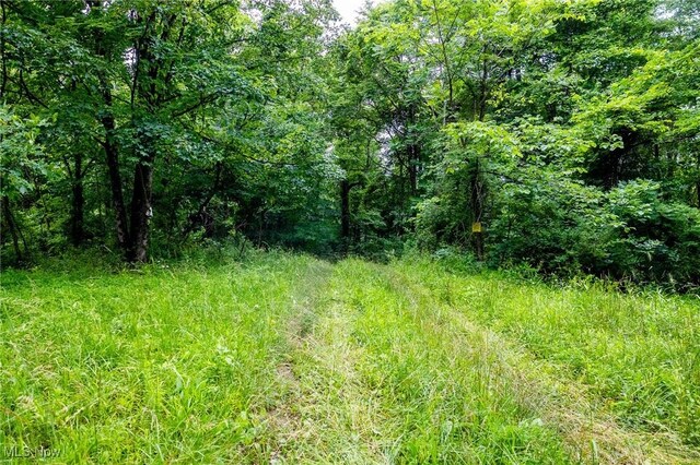 Wilber Bush, Crooksville, OH 43731 - photo 6