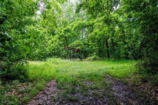 Wilber Bush, Crooksville, OH 43731 - photo 10