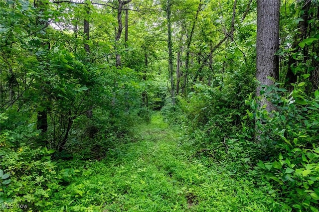 Wilber Bush, Crooksville, OH 43731 - photo 17