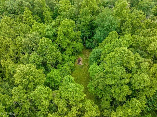 Wilber Bush, Crooksville, OH 43731 - photo 27
