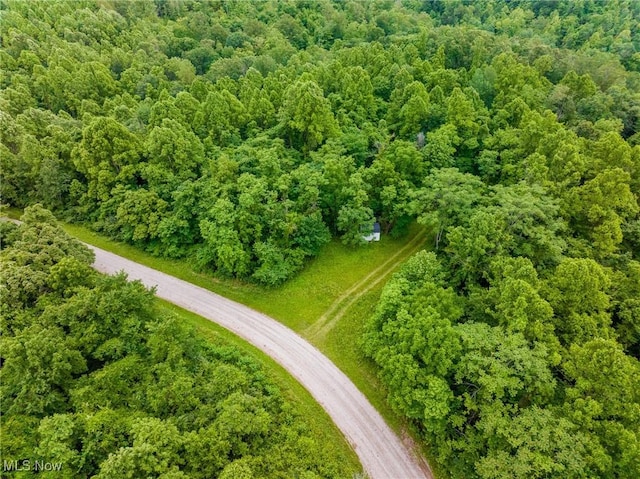 Wilber Bush, Crooksville, OH 43731 - photo 29