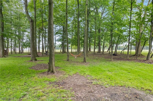 3397 Oak Hill Rd, Wooster, OH 44691 - photo 33