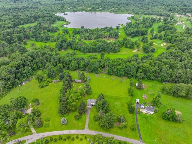 13228 Boulder, Chesterland, OH 44026 - bird's eye view of a nearby body of water
