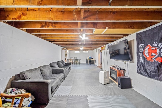 28666 Forest Rd, Willowick, OH 44095 - basement with concrete block wall