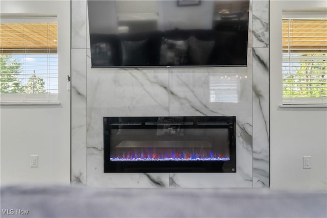 5111 N Myers Rd, Geneva, OH 44041 - detailed view of a high end fireplace