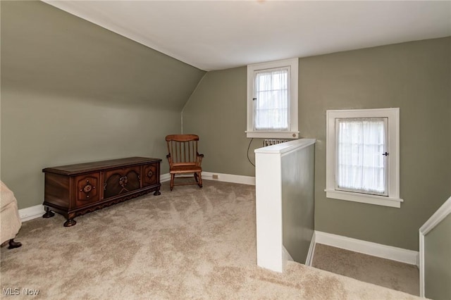 3336 Daleford Rd, Shaker Heights, OH 44120 - bonus room with carpet and vaulted ceiling