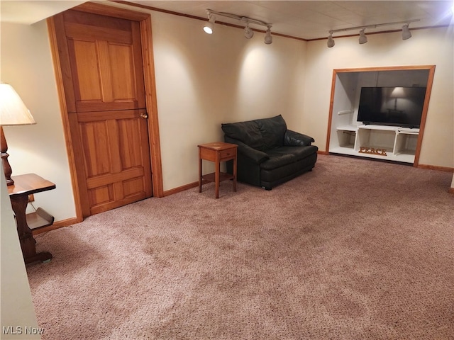 3336 Daleford Rd, Shaker Heights, OH 44120 - sitting room featuring rail lighting and carpet floors