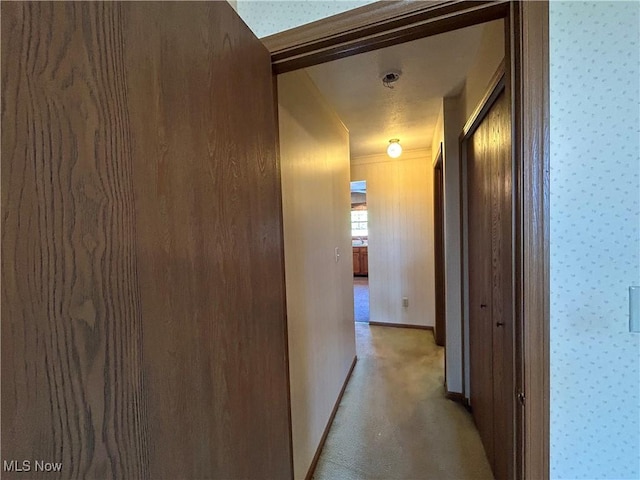 930 Pearson Cir Unit 4, Youngstown, OH 44512 - hallway with wallpapered walls and light colored carpet
