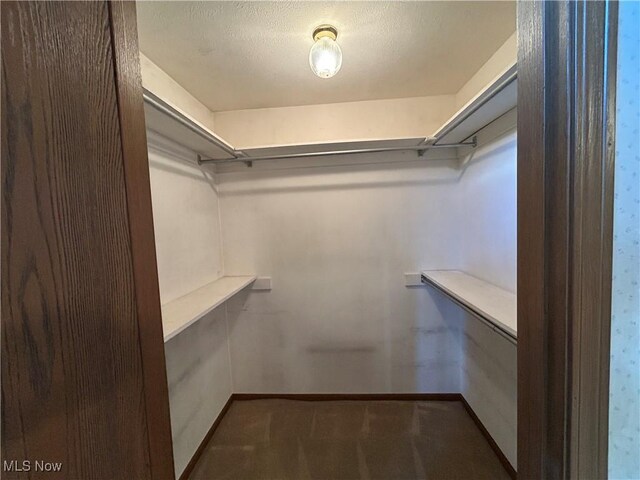 930 Pearson Cir Unit 4, Youngstown, OH 44512 - spacious closet featuring carpet