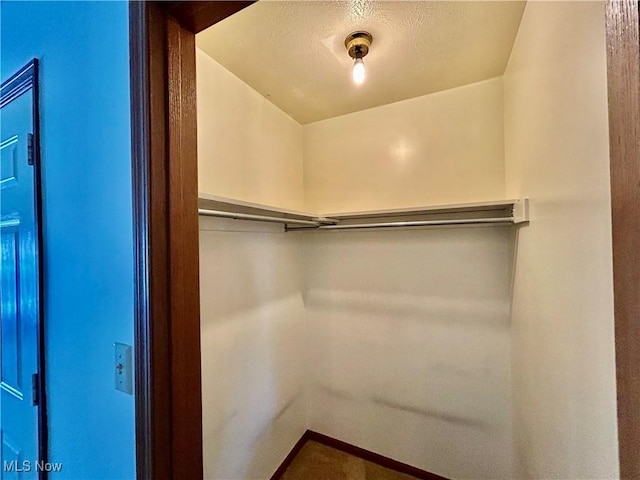 930 Pearson Cir Unit 4, Youngstown, OH 44512 - view of spacious closet