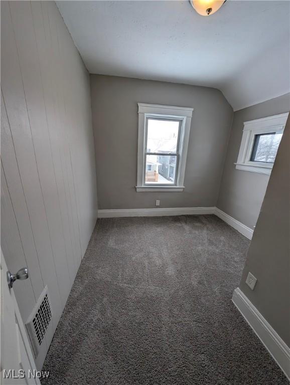 3947 W 22nd St, Cleveland, OH 44109 - bonus room with carpet flooring and lofted ceiling