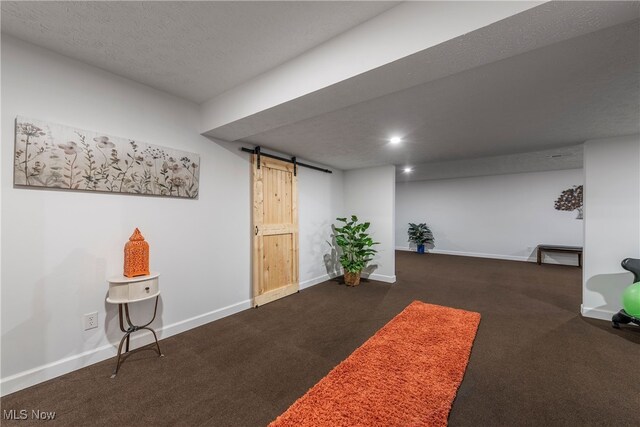 12187 Bexley Dr, Grafton, OH 44044 - finished below grade area featuring a barn door, carpet, and a textured ceiling